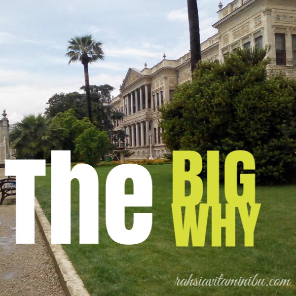 the big why